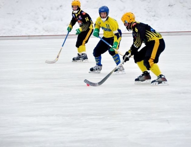 Хоккеисты «Мурмана» выиграли в матче с «Волга-Черемшан»