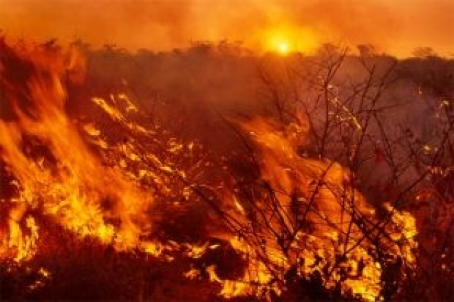 Лесной пожар обнаружит беспилотник
